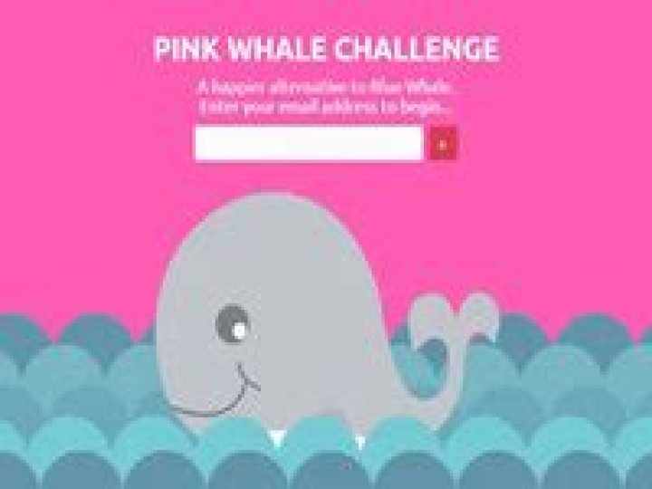 TikTok: What is the Pink Whale Challenge? Is it Similar to Blue Whale Challenge By Jonathan Galindo And All İnformation