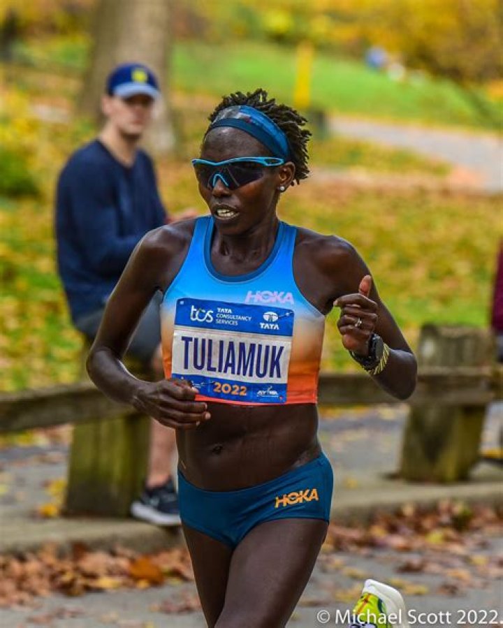 Tim Gannon Age, Birthday, Wikipedia, Who, Nationality, Biography