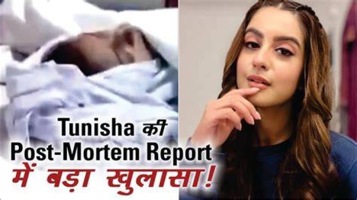 
Tunisha Sharma Obituary: How Did She Die | Cause Of Death Explained 