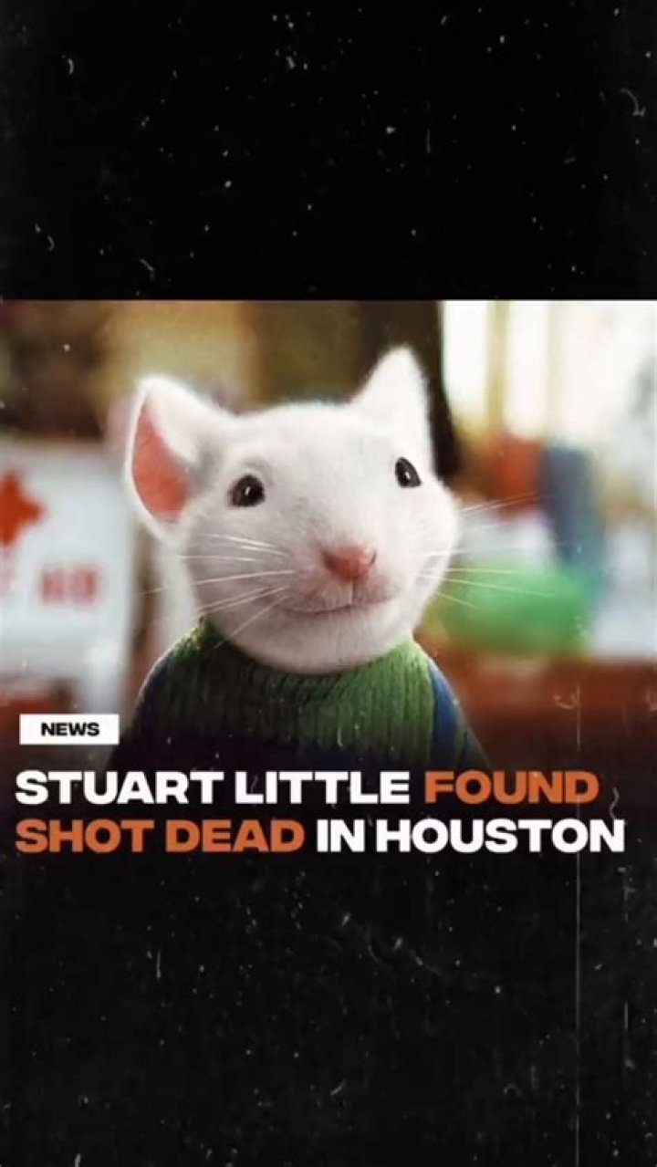 Was Rapper Stuart Little Shot Dead In Houston? Death Cause And Wikipedia Bio