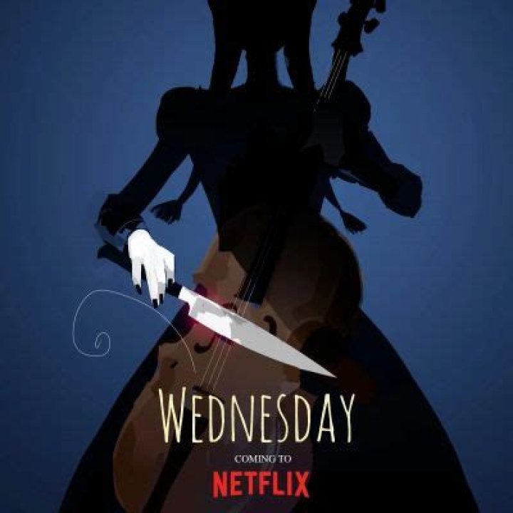 
“Wednesday” A Horror Comedy Series Is Set To Be Released On Netflix Soon 