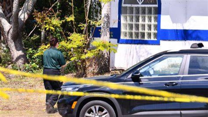 
What did Domenico Gigante do? Florida man arrested following child’s 911 call 