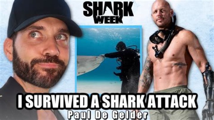 What Happened To Paul de Gelder? Shark Attack Survivor Biography Details To Know