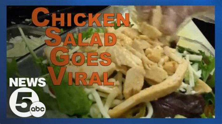 
What Is The “Its A Chicken Salad” On TikTok? Viral TikTok Makes Cleveland Deli Famous Overnight 