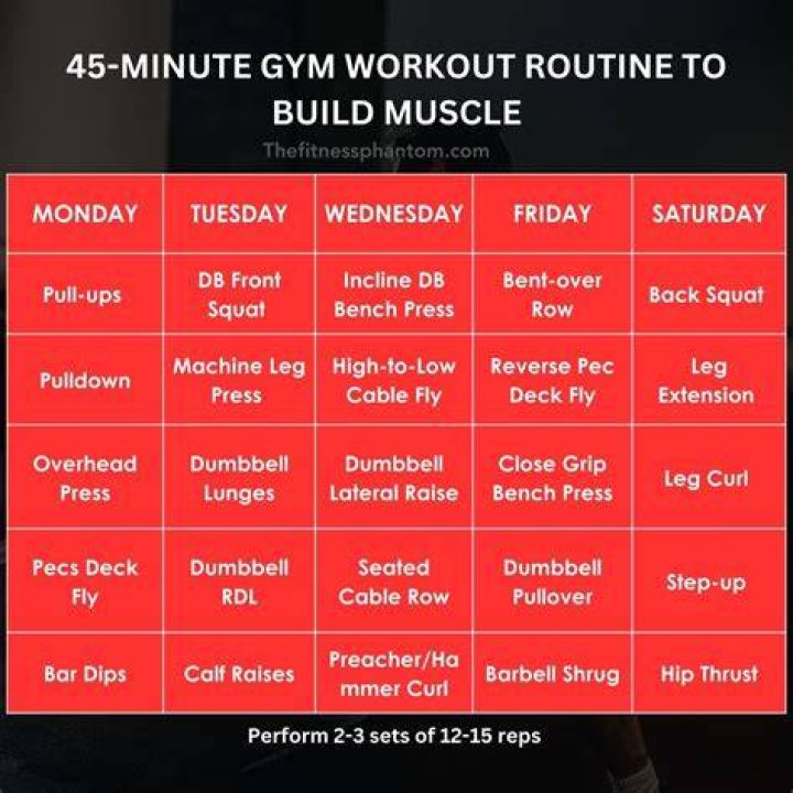 
What Kind Of Gym Does Taylor Red Tiktok Have? Workout Sessions & Routine Revealed 