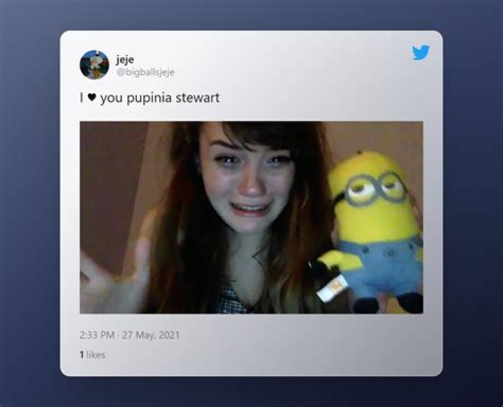 Where Is Pupinia Stewart From YouTube Community Now?