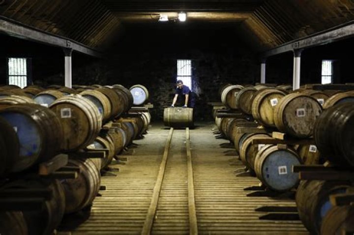 
Whiskey fungus infests town — Jack Daniel’s plants targeted in lawsuit 