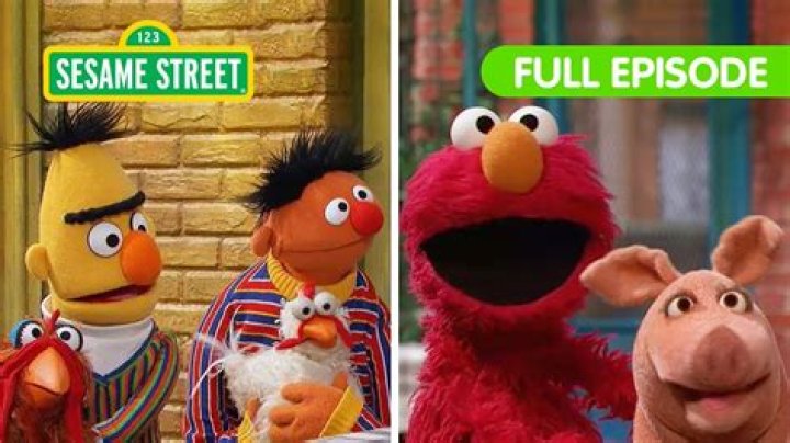 
Who Is Jodi Aka Jeezy From The Sesame Place Situation Video? What Happened? 
