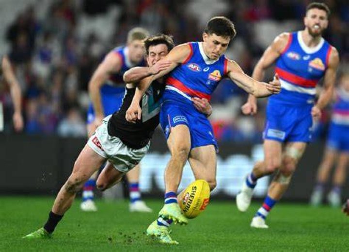 
Who Is Laitham Vandermeer? Everything To Know About The AFL Palyer From The Western Bulldogs 