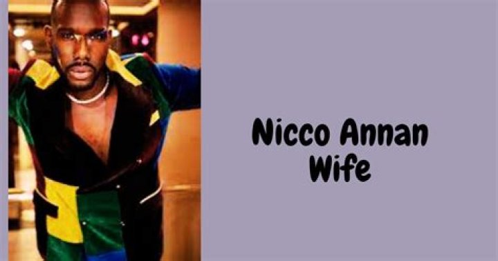 
Who is Nicco Annan’s Wife? 