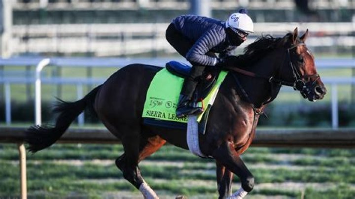 Who Is Terrill Brown? Everything To Know About The Horse Racing Trainer Chad Brown Wife