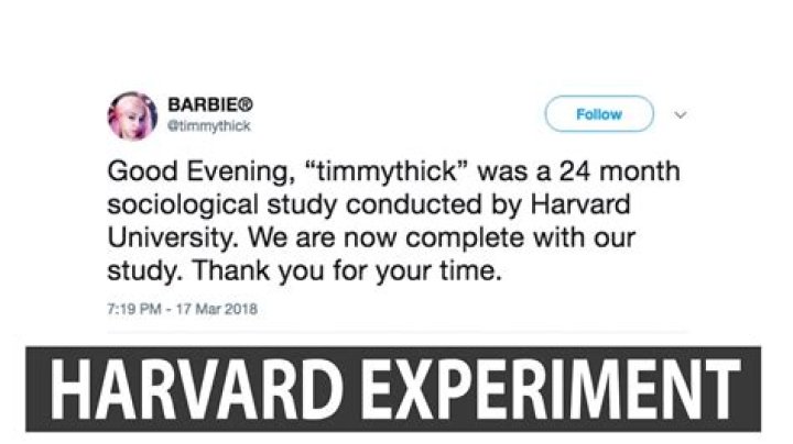 
Who Is Timmy Thick? Where Is He Now and What About His Harvard Experiment? 
