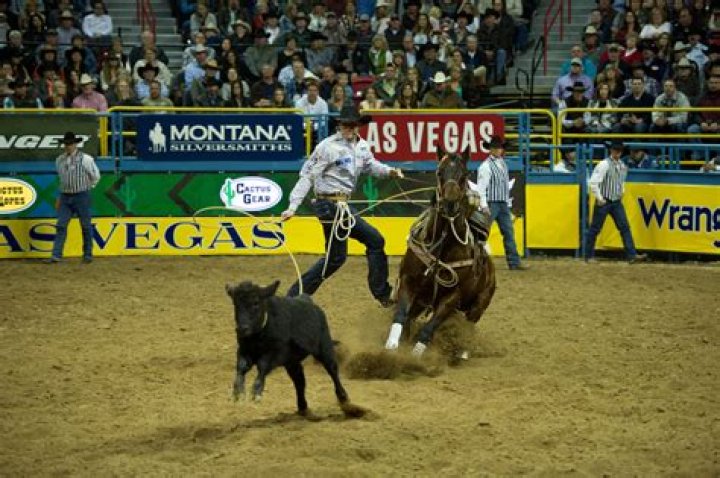 
Who Was World Champion Calf Roper Jeff Copenhaver And How Did He Die? 