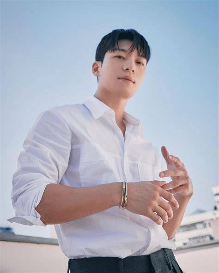 
Wi Ha-joon Height, Weight, Net Worth, Age, Birthday, Wikipedia, Who, Nationality, Biography 