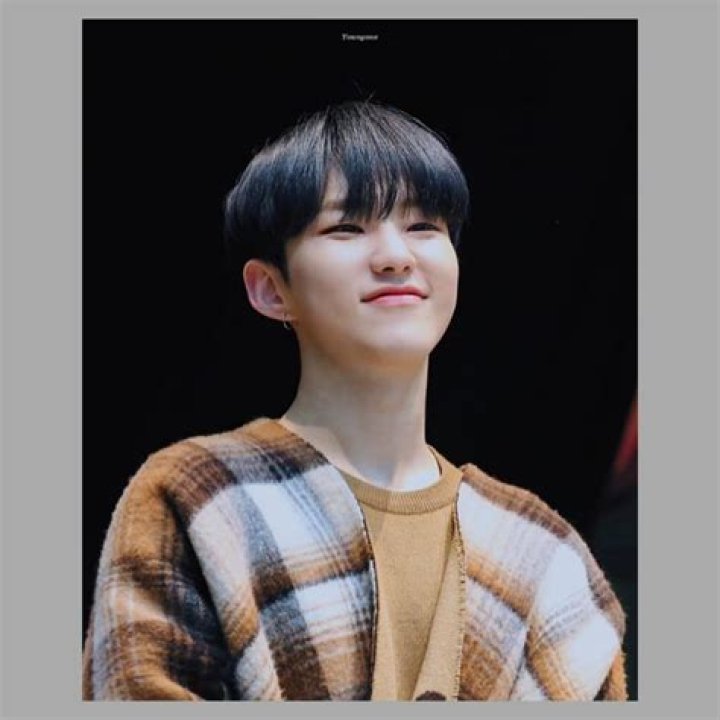Wonwoo Height, Weight, Net Worth, Age, Birthday, Wikipedia, Who, Nationality, Biography